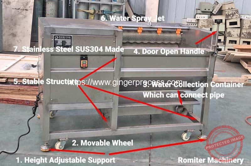 High-Quality-Brush-Roller-Washing-Peeling-Machine-Structure-from-Romiter-Machinery